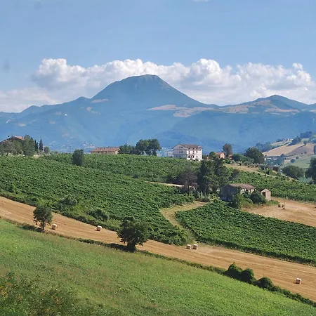 La Girandola Cupramontana